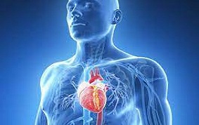 ENDOCARDITES INFECTIEUSES