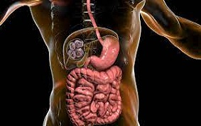 HYDATIDOSES PULMONAIRES