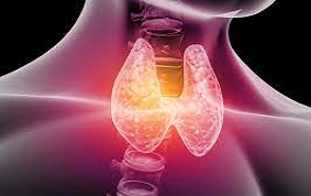 HYPOTHYROÏDIES DE L&rsquo;ENFANT ET DE L&rsquo;ADULTE