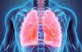 INFECTIONS RESPIRATOIRES BASSES COMMUNAUTAIRES