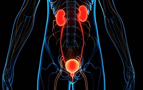 INFECTIONS URINAIRES