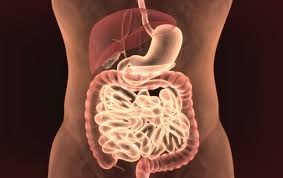 OCCLUSIONS INTESTINALES AIGUËS