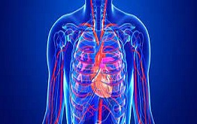 HYPERTENSION ARTERIELLE